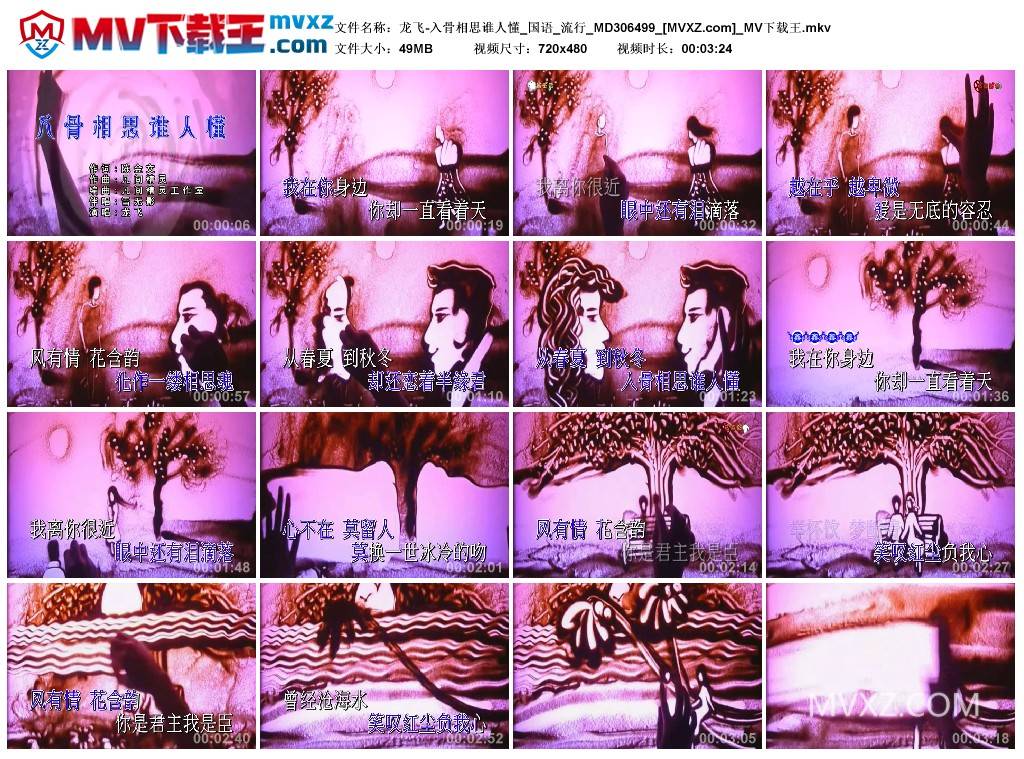 龙飞-入骨相思谁人懂_国语_流行_MD306499